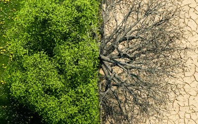 Cambio climático, riesgos extraordinarios y políticas públicas