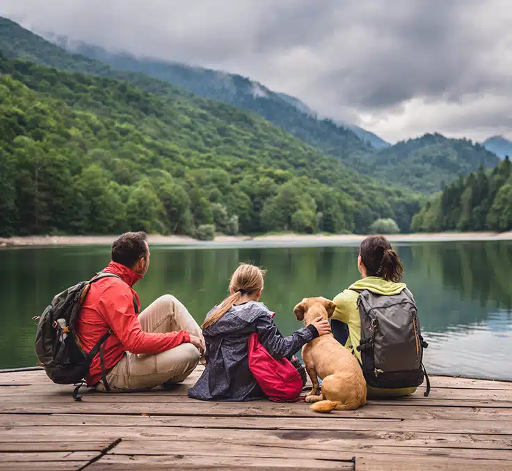 Life insurance: A mosaic of coverage for your peace of mind