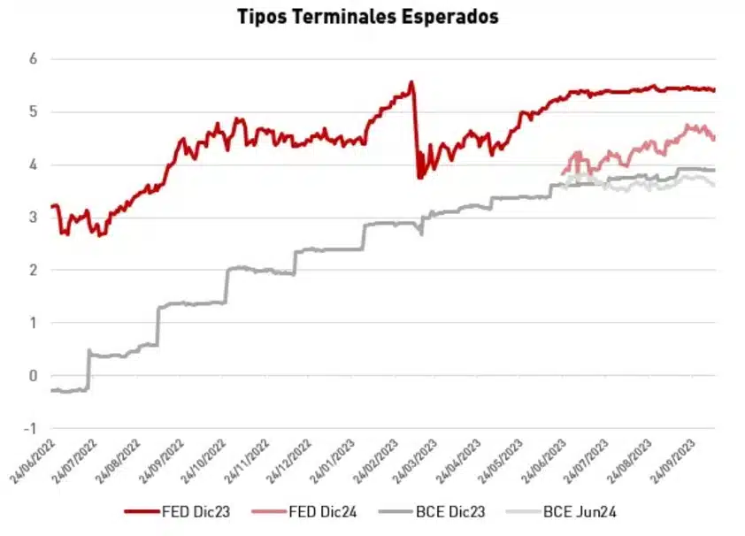 Tipos terminales esperados